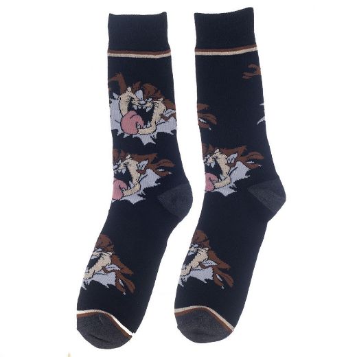 Picture of Looney Tunes 5 Pair Crew Socks