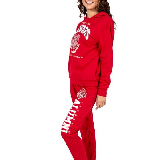 Picture of Harry Potter Hogwarts Alumni Hoodie & Jogger Combo