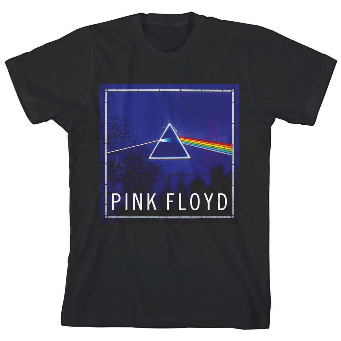 Picture of Pink Floyd The Dark Side of the Moon Unisex Youth Tee