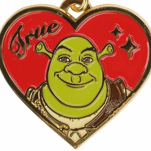 Picture of DreamWorks Shrek & Fiona Bestie Keychains