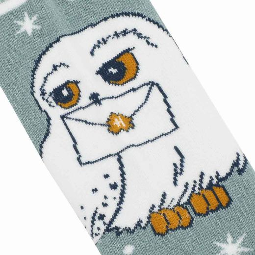 Picture of Harry Potter Icons 5 Pair Crew Socks 