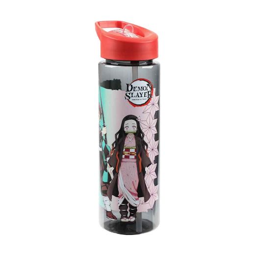 Picture of Demon Slayer 24 oz. Single-Wall Water Bottle