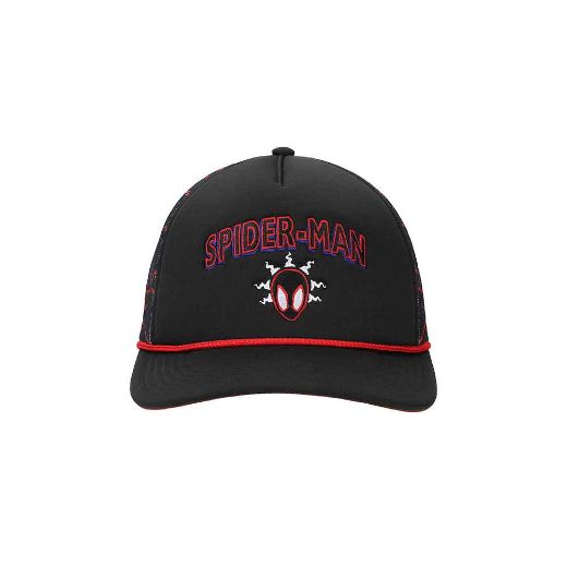 Picture of Marvel Spider-Man Printed Mesh Trucker