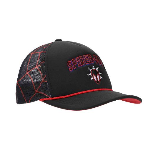 Picture of Marvel Spider-Man Printed Mesh Trucker