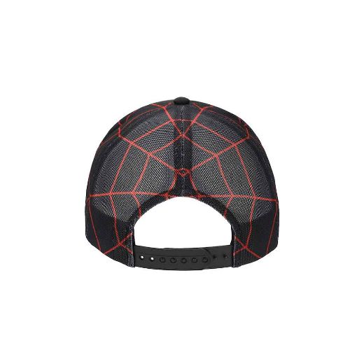 Picture of Marvel Spider-Man Printed Mesh Trucker