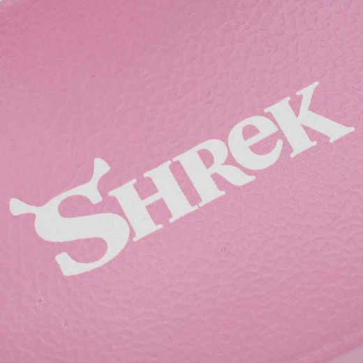 Picture of Dreamworks Shrek & Donkey Slide Sandals
