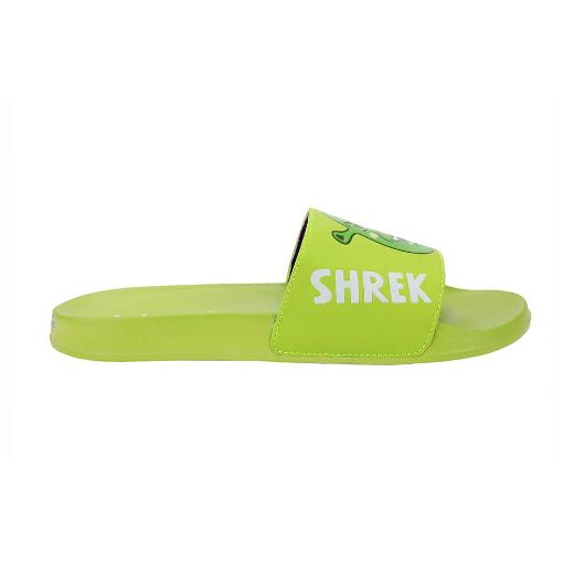 Picture of Dreamworks Shrek & Donkey Slide Sandals