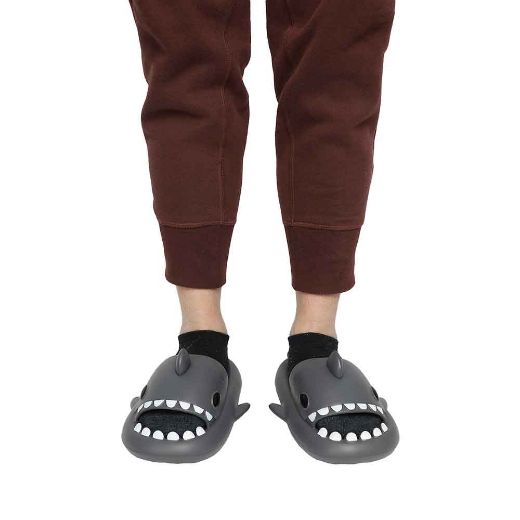 Picture of Novelty Shark Cloud Slides