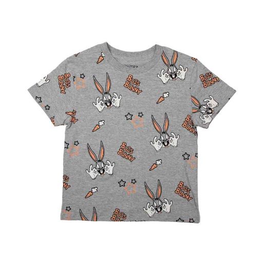 Picture of Looney Tunes Youth 4 Pack Tees