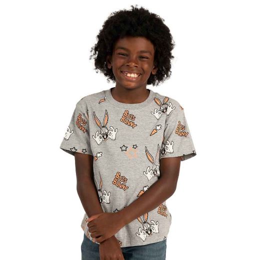 Picture of Looney Tunes Youth 4 Pack Tees