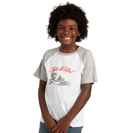Picture of Looney Tunes Youth 4 Pack Tees