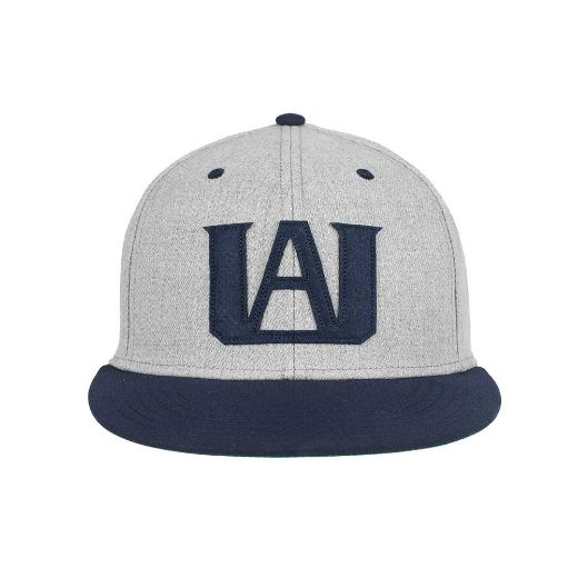 Picture of My Hero Academia UA Flat Bill Snapback