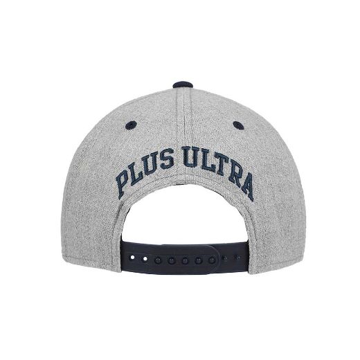 Picture of My Hero Academia UA Flat Bill Snapback