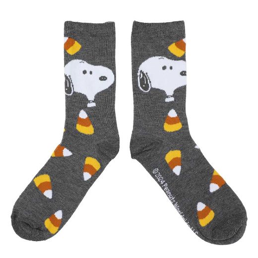 Picture of Peanuts Halloween Juniors's 5 Pair Crew Socks
