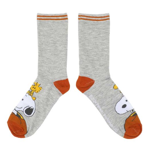 Picture of Peanuts Halloween Juniors's 5 Pair Crew Socks