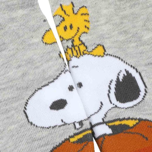 Picture of Peanuts Halloween Juniors's 5 Pair Crew Socks