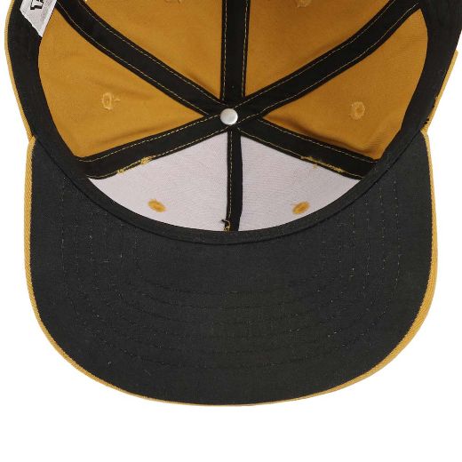 Picture of Pokemon Eevee Youth 3D Cosplay Flat Bill Snapback