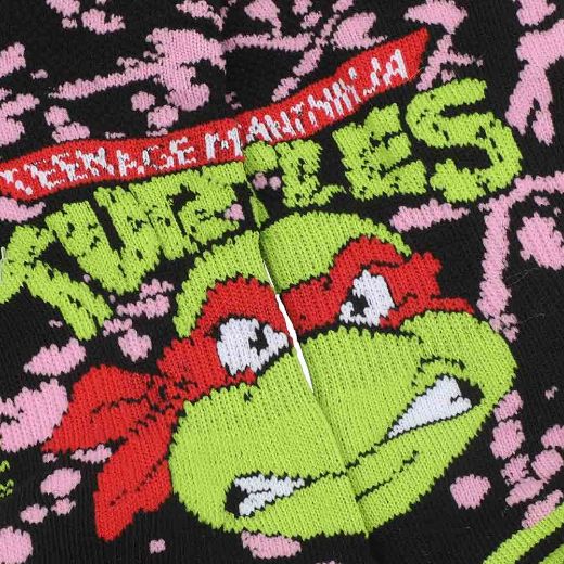 Picture of Teenage Mutant Ninja Turtles 5 Pair Ankle Socks