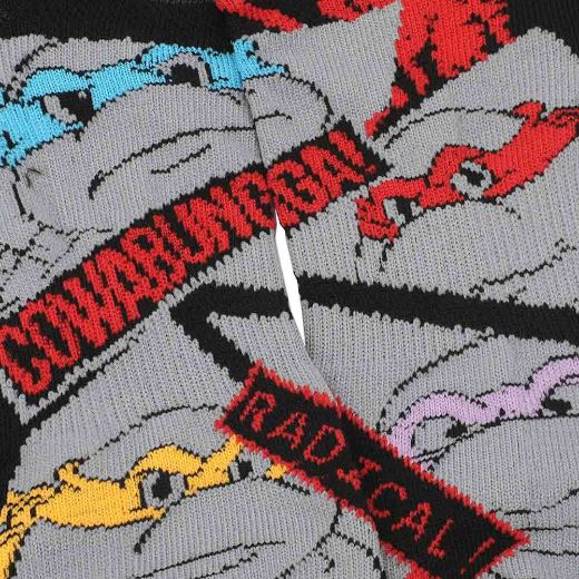 Picture of Teenage Mutant Ninja Turtles 5 Pair Ankle Socks