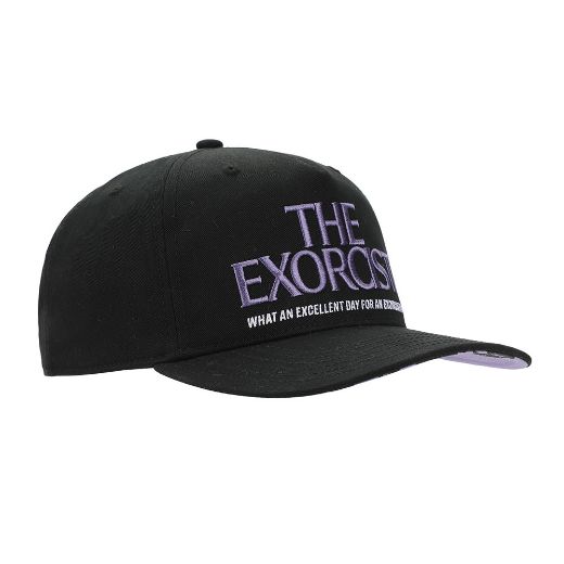 Picture of The Exorcist Logo Curved Bill Snapback