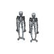 Picture of Bioworld Glow in the Dark Skeleton Earrings