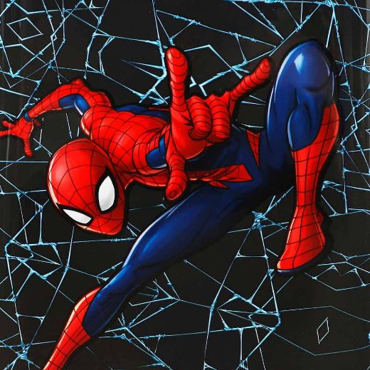 Picture of Marvel Spider-Man 20 in. Rolling Luggage