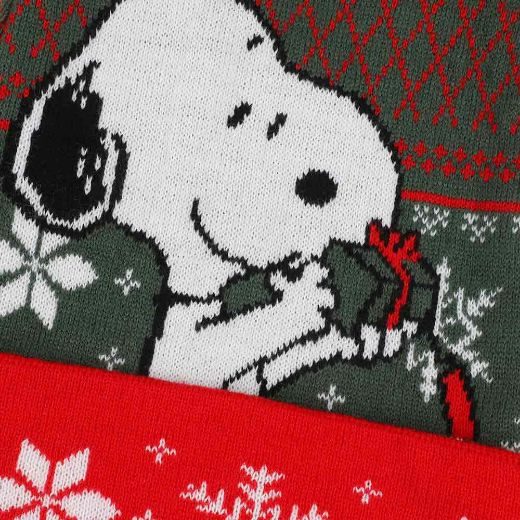 Picture of Peanuts Snoopy Christmas Santa Hat