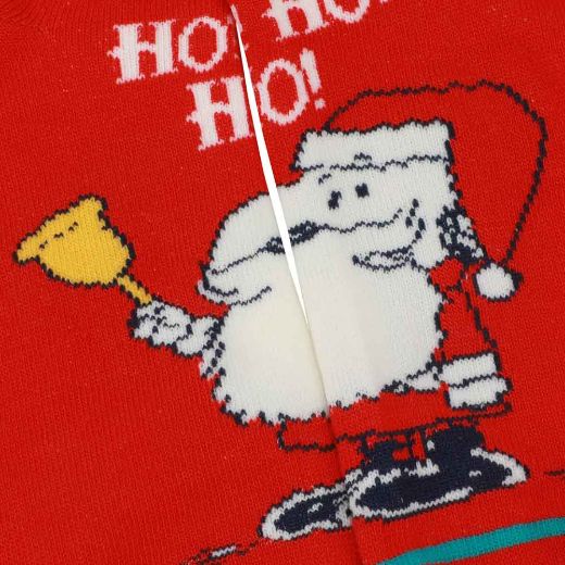 Picture of Peanuts 5 Pair Ankle Socks