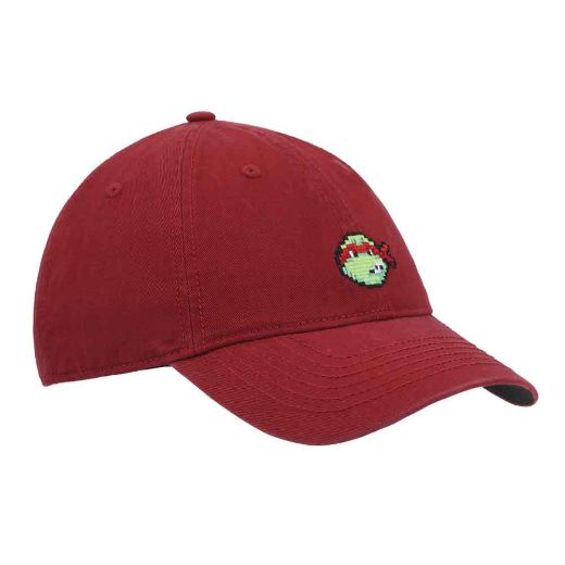 Picture of Teenage Mutant Ninja Turtles Raphael Embroidered Hat