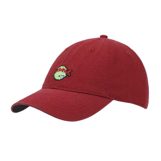 Picture of Teenage Mutant Ninja Turtles Raphael Embroidered Hat