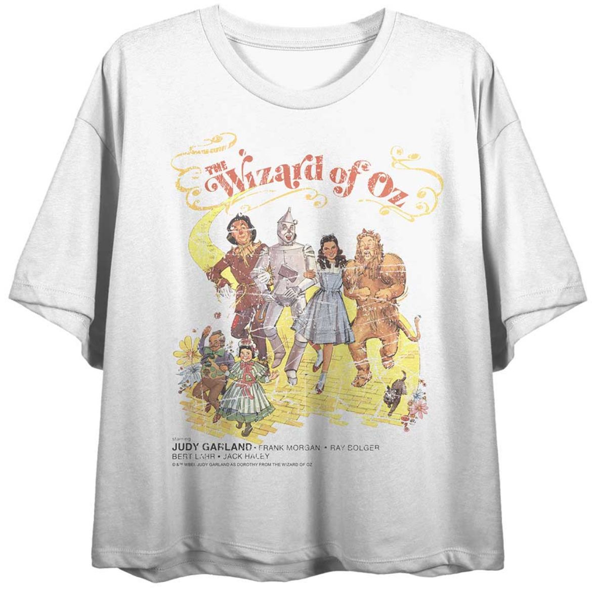 Picture of The Wizard of Oz Vintage Group Shot Crop Tee
