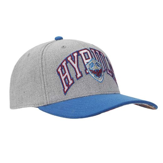 Picture of The Legend of Zelda Hyrule Curved Bill Snapback