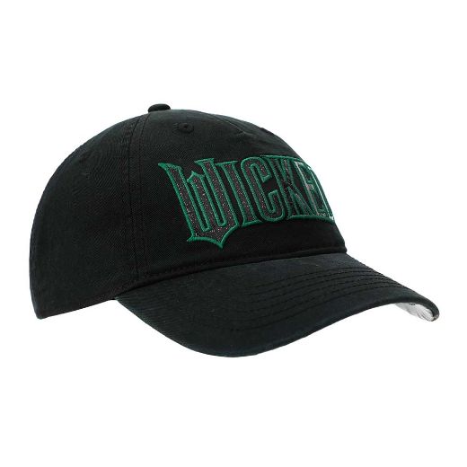 Picture of Wicked Embroidered Hat