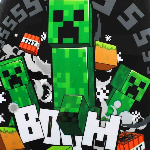 Picture of Minecraft 2 pc. Youth Travel Set