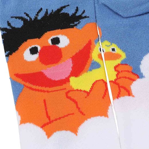 Picture of Sesame Street Character 5 Pair Ankle Socks