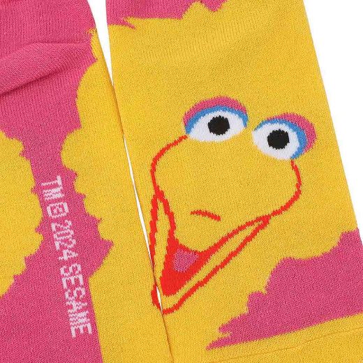 Picture of Sesame Street Character 5 Pair Ankle Socks