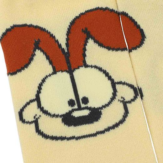 Picture of Garfield & Odie 5 Pair Ankle Socks