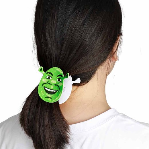 Picture of Dreamworks Shrek Hair Clip Set