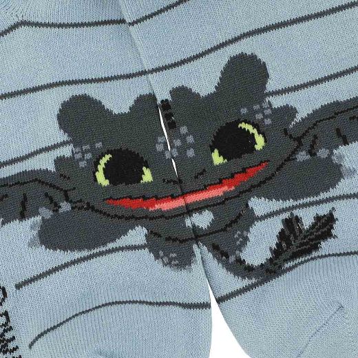 Picture of How To Train Your Dragon 5 Pair Ankle Socks