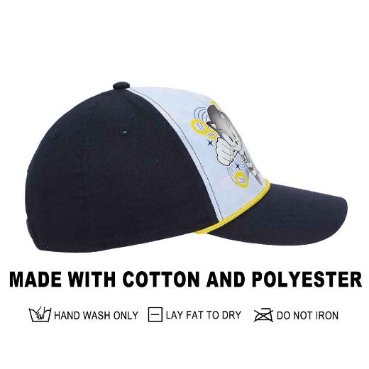 Picture of Sonic the Hedgehog Vintage Rope Youth Curved Bill Snapback