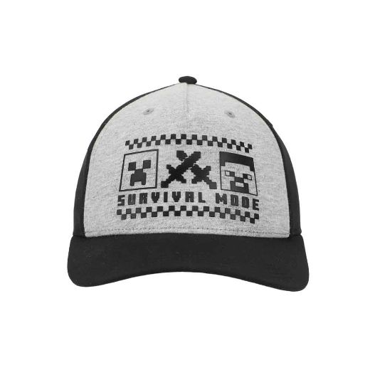 Picture of Minecraft Survival Youth Curved Bill Snapback