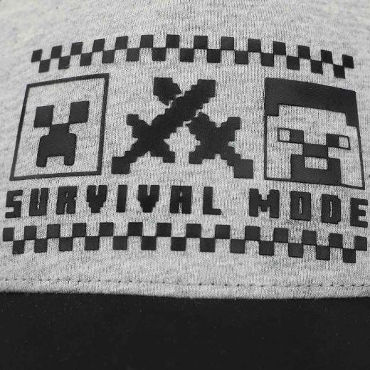 Picture of Minecraft Survival Youth Curved Bill Snapback