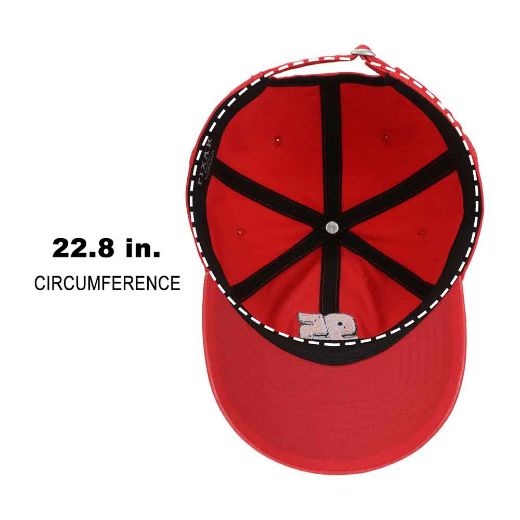 Picture of Disney Pixar Cars Lightning McQueen Embroidered Hat