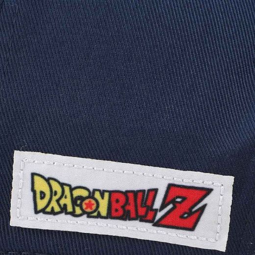 Picture of Dragon Ball Z Embroidered Youth Flat Bill Snapback