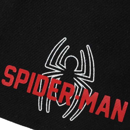 Picture of Marvel Spider-Man Curved Bill Snapback