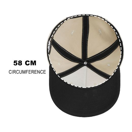 Picture of Star Wars Empire Curved Bill Snapback