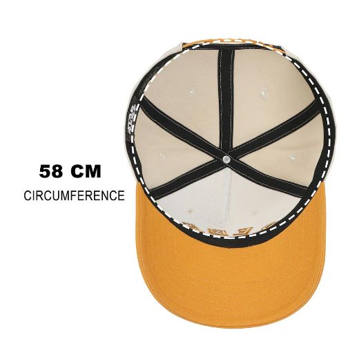 Picture of Star Wars Join the Rebellion Curved Bill Snapback