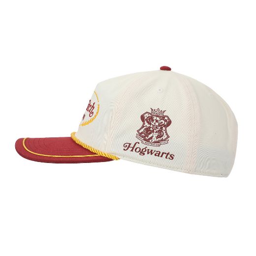Picture of Harry Potter Quidditch Champs Vintage Rope Curved Bill Snapback
