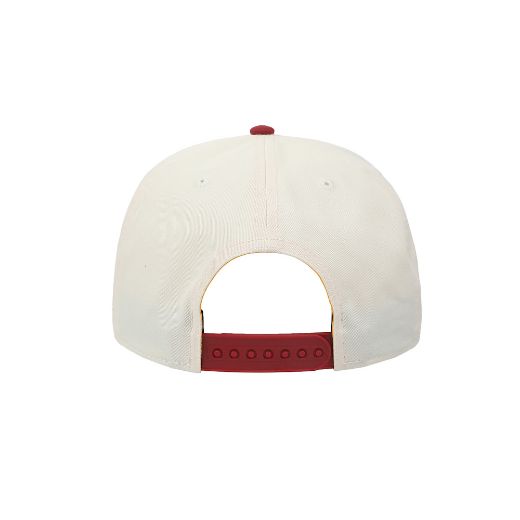 Picture of Harry Potter Quidditch Champs Vintage Rope Curved Bill Snapback