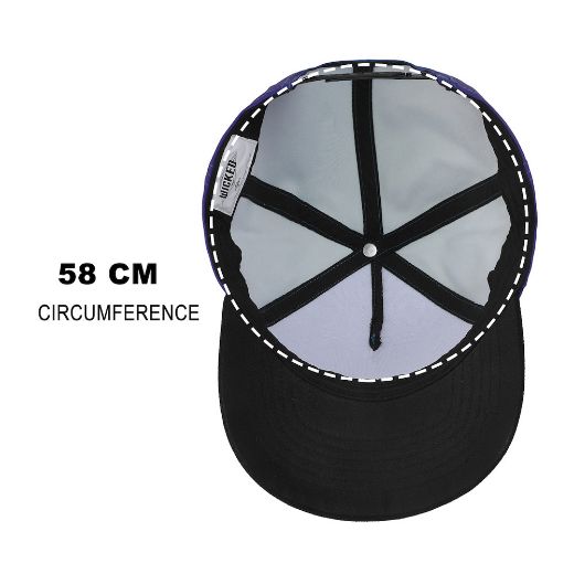 Picture of Wicked Metallic Defy Gravity Hat